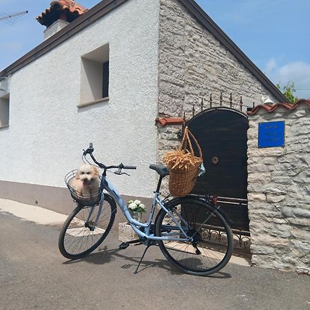 Authentic Istria&Pet Friendly Apartment Banko Near Rovinj Kanfanar Eksteriør billede