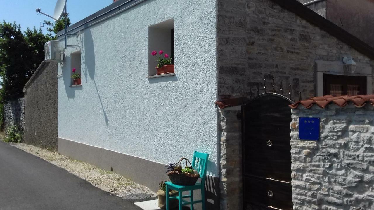Authentic Istria&Pet Friendly Apartment Banko Near Rovinj Kanfanar Eksteriør billede